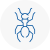Ant Removals In Jarrow