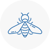 Bee Nest Removal Jarrow