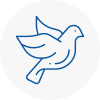 Bird Prevention Jarrow