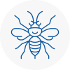 Jarrow Hornet Nest Removals