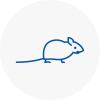 Mice Exterminators In Jarrow