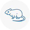 Rat Control Jarrow