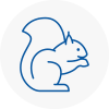 Jarrow Rodent Removals