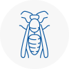 Jarrow Wasp Nest Removal